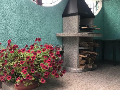 Posada Green House