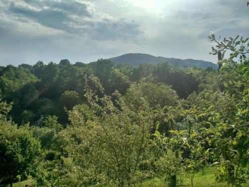 Agroturismo Country House Kosiv