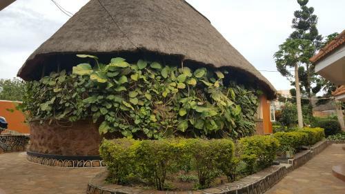 Hotel Phenicia Motel