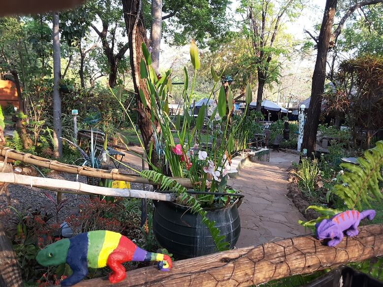 Albergue Victoria Falls Backpackers Lodge