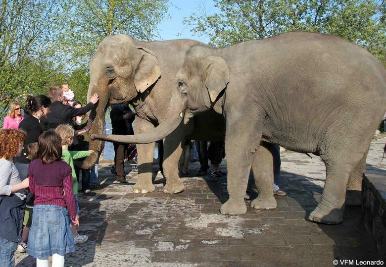 Hotel Ibis Mons Centre Gare