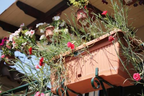 Bed & Breakfast Villa Orion