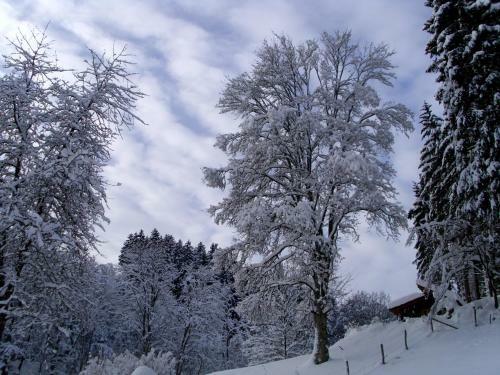 Hotel Gasthof Braun