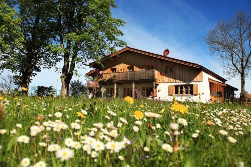 Apartamento Luna Mia