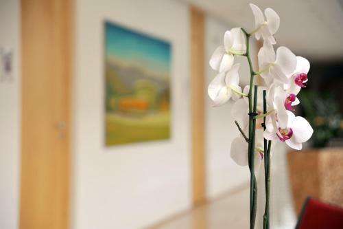 Hotel H�tel Galerie