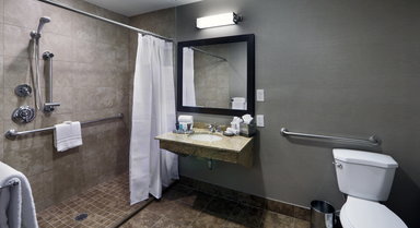 Hotel Crowne Plaza Boston Natick