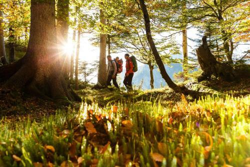 Apartamento Ferienwohnung Stallerhof