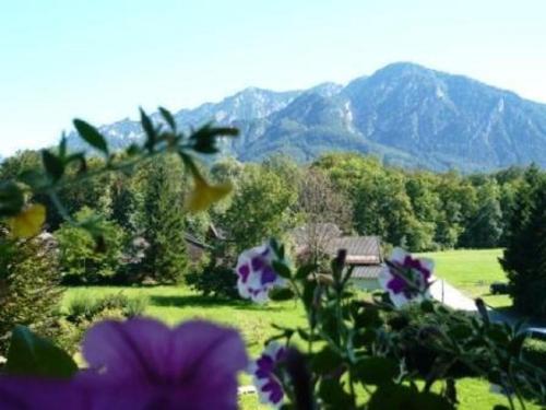 Hostal G�stehaus Quellenhof