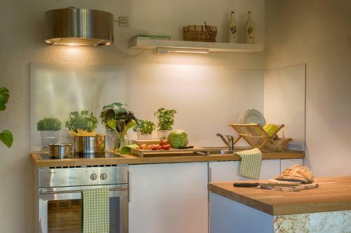 Apartamento Hochschwarzwald Ferienwohnung