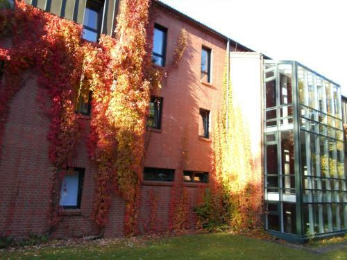 Albergue Jugendherberge Bonn