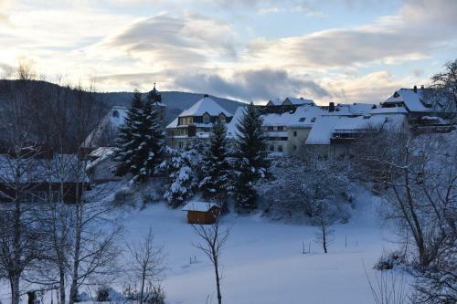 Hostal Pension Wiesengrund