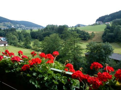 Apartamentos Waldblick