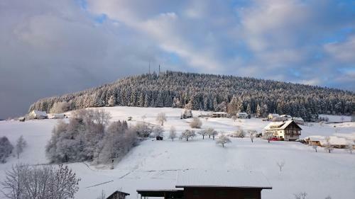 Apartamentos Waldblick