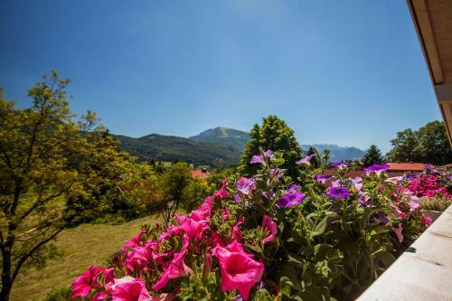 Apartamento Haus Bella Vista