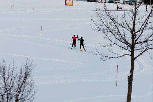 Steinhausers Hotel Hochb�hl