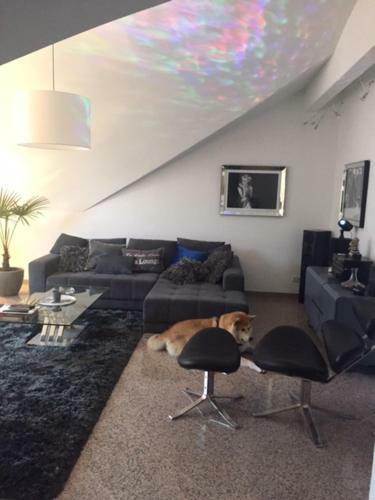 Apartment D�sseldorf Zentrale Lage