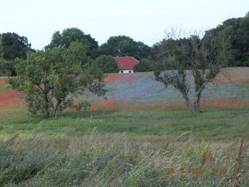 Apartamento Ferienwohnungen Blume