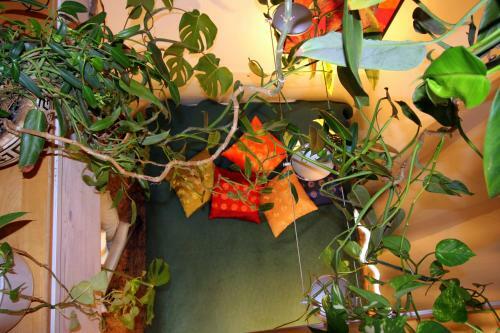 Apartamento Studio A Am Burgberg