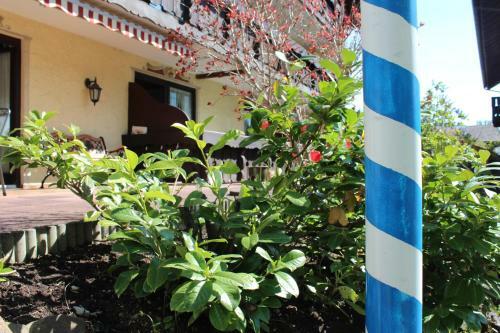 Hostal Birkenhof Pension Mit Herz