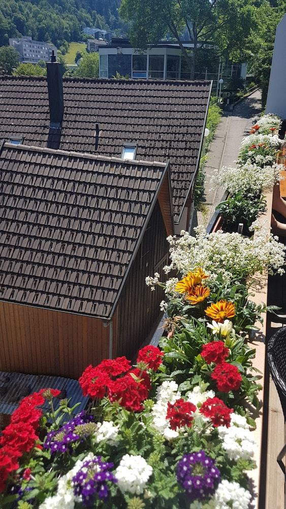 Hostal Pension Silberburg Bad Wildbad