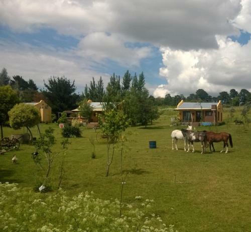Complejo Dulcer�a El Cazador Y Caba�as