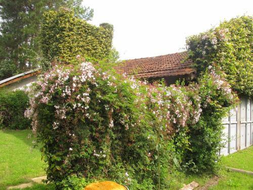 Bed & Breakfast La Soleada Alojamientos