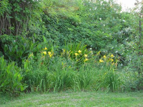 Bed & Breakfast La Soleada Alojamientos