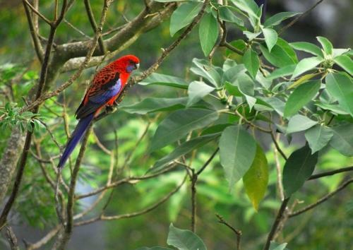 Agroturismo Barrington Hideaway- River Cottages