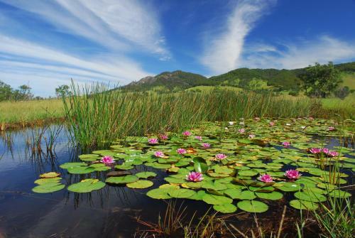 Agroturismo Barrington Hideaway- River Cottages