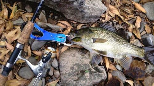 Agroturismo Barrington Hideaway- River Cottages