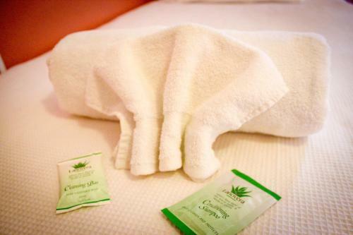 Hostal Hotel Avonleigh