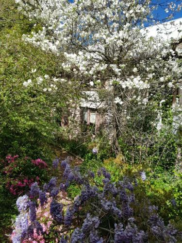 Hostal Hotel Avonleigh