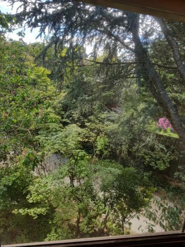 Hostal Hotel Avonleigh