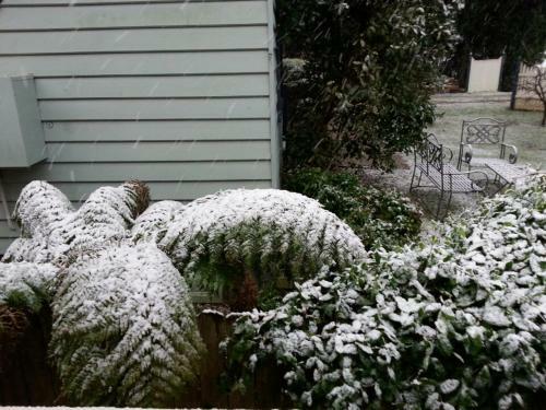 Hostal Hotel Avonleigh