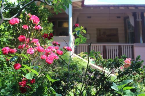 Hostal Hotel Avonleigh