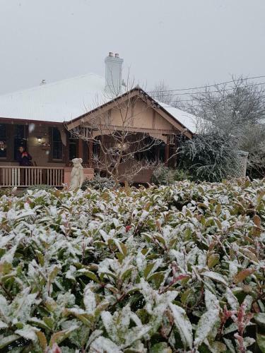 Hostal Hotel Avonleigh