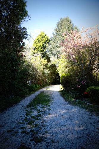 Hostal Hotel Avonleigh