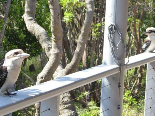 Kookaburra Beach Cottage On Tallow