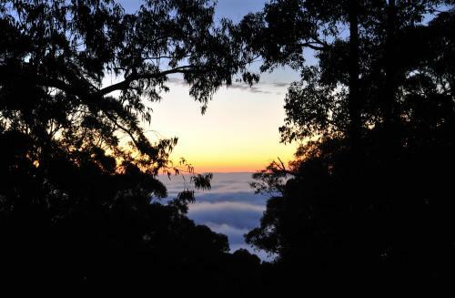 Bed & Breakfast Misty Woods Retreat Olinda