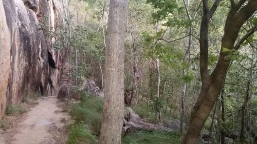 Shambhala Retreat Magnetic Island Cottages