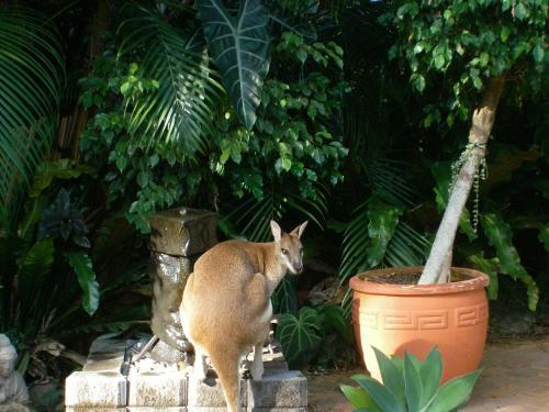 Apartamento Bluewater Bed & Breakfast Cairns
