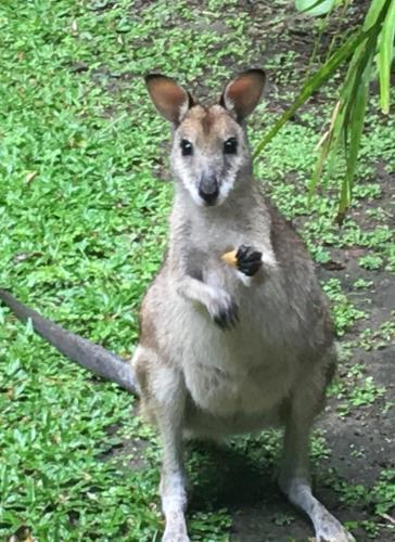 Apartamento Bluewater Bed & Breakfast Cairns