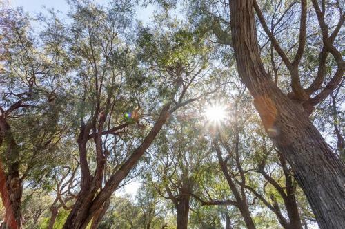 Hotel Busselton Villas And Caravan Park