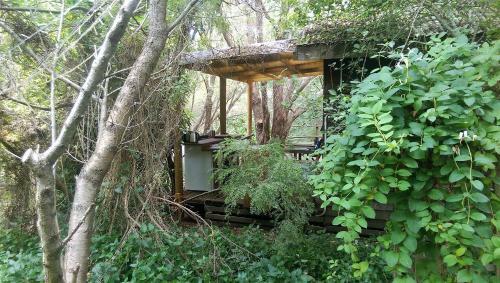 Villa Black Cockatoo Lodge