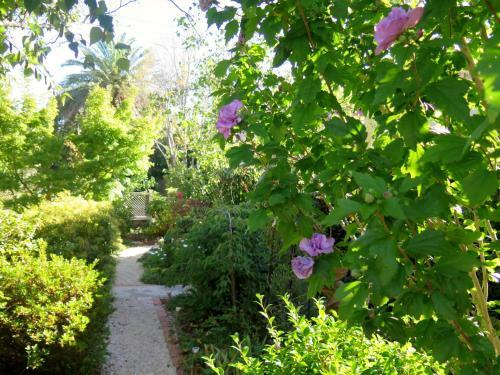 Shelton-lea Bed & Breakfast