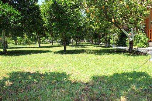 Hostal Blue Paradise Pension