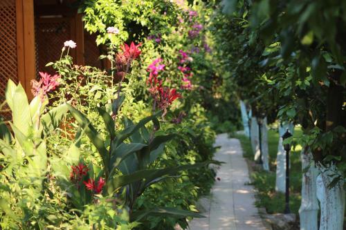Hostal Blue Paradise Pension