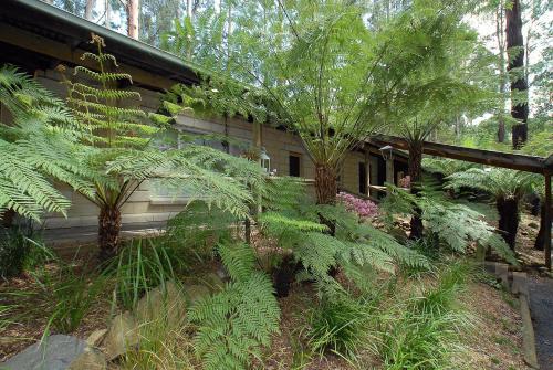 Villa Fernglen Forest Retreat