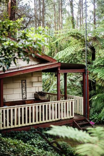 Villa Fernglen Forest Retreat