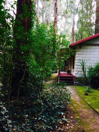 Villa Fernglen Forest Retreat